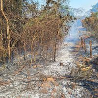 Incêndio no IFMT São Vicente