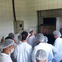 Galeria - Aula prática de fabricação de salame