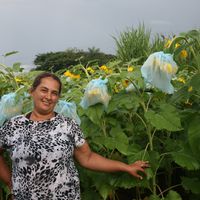 Visita dos pacientes do CAPS ao IFMT São Vicente