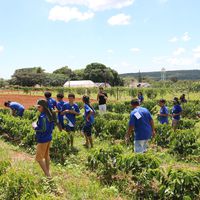 Projeto Rural Sustentável Cerrado