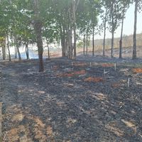 Incêndio no IFMT São Vicente